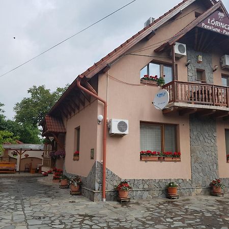 Pensiunea Lorincz *** Panzio Sovata Buitenkant foto