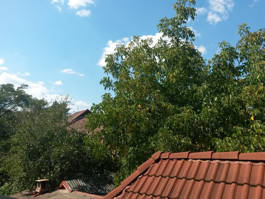 Pensiunea Lorincz *** Panzio Sovata Buitenkant foto