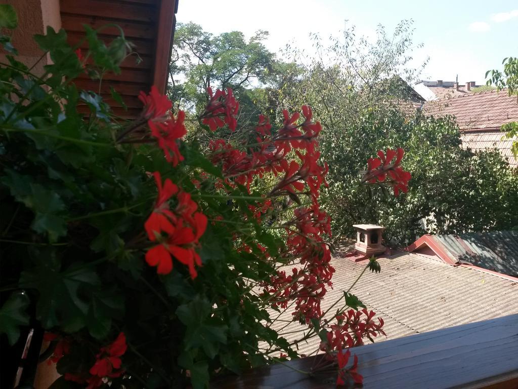 Pensiunea Lorincz *** Panzio Sovata Buitenkant foto