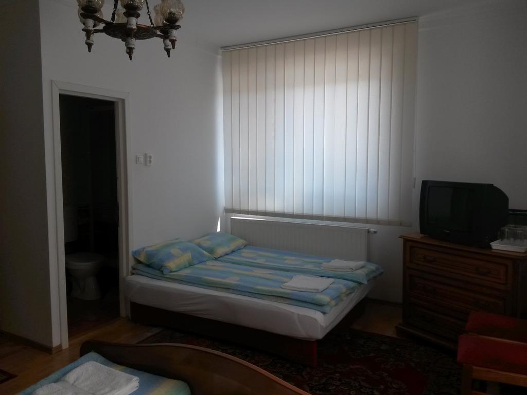 Pensiunea Lorincz *** Panzio Sovata Buitenkant foto
