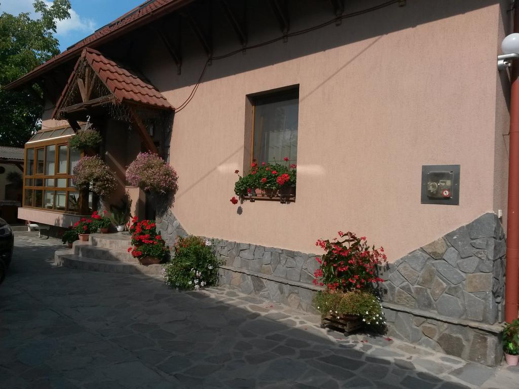 Pensiunea Lorincz *** Panzio Sovata Buitenkant foto