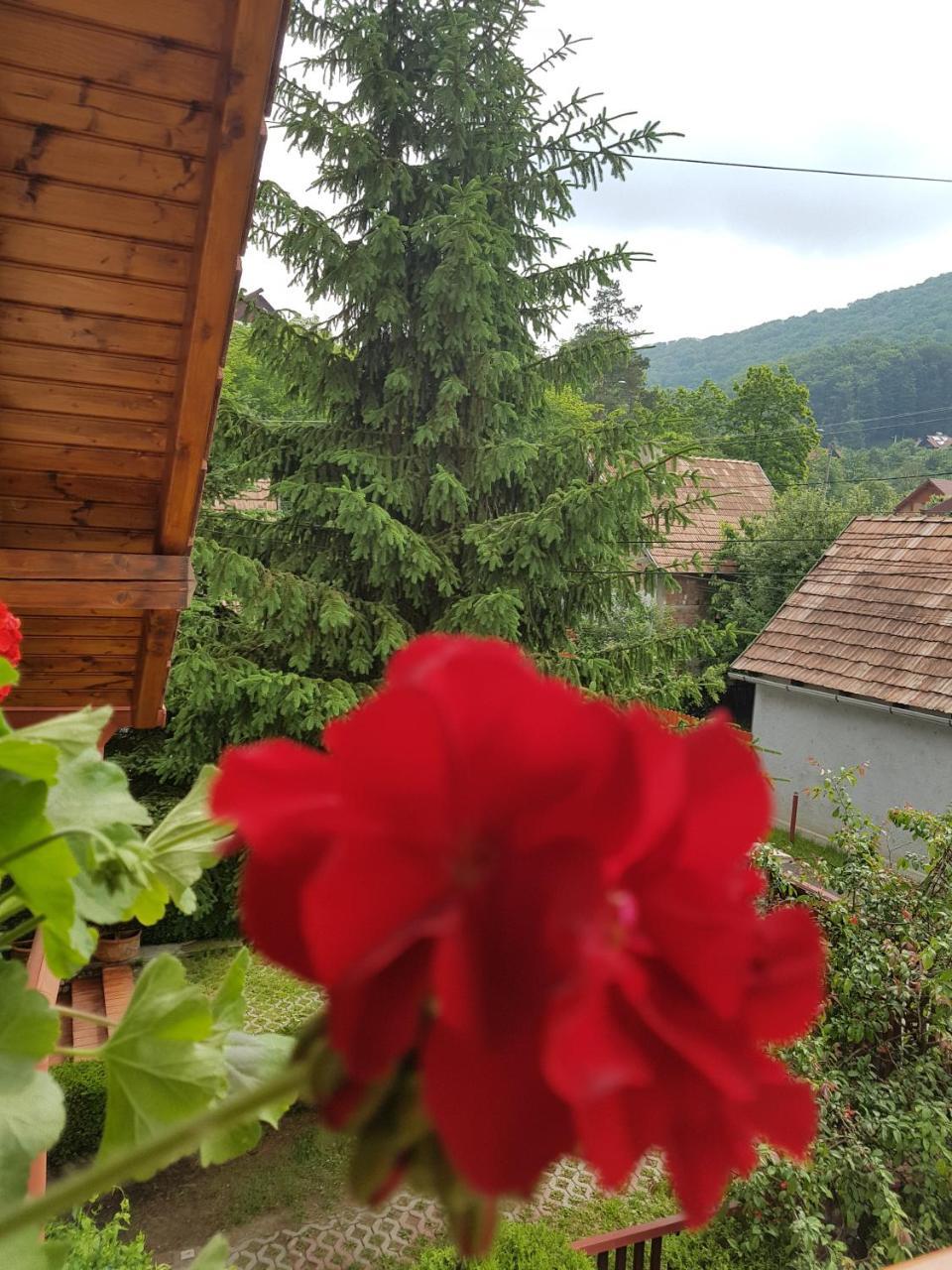 Pensiunea Lorincz *** Panzio Sovata Buitenkant foto