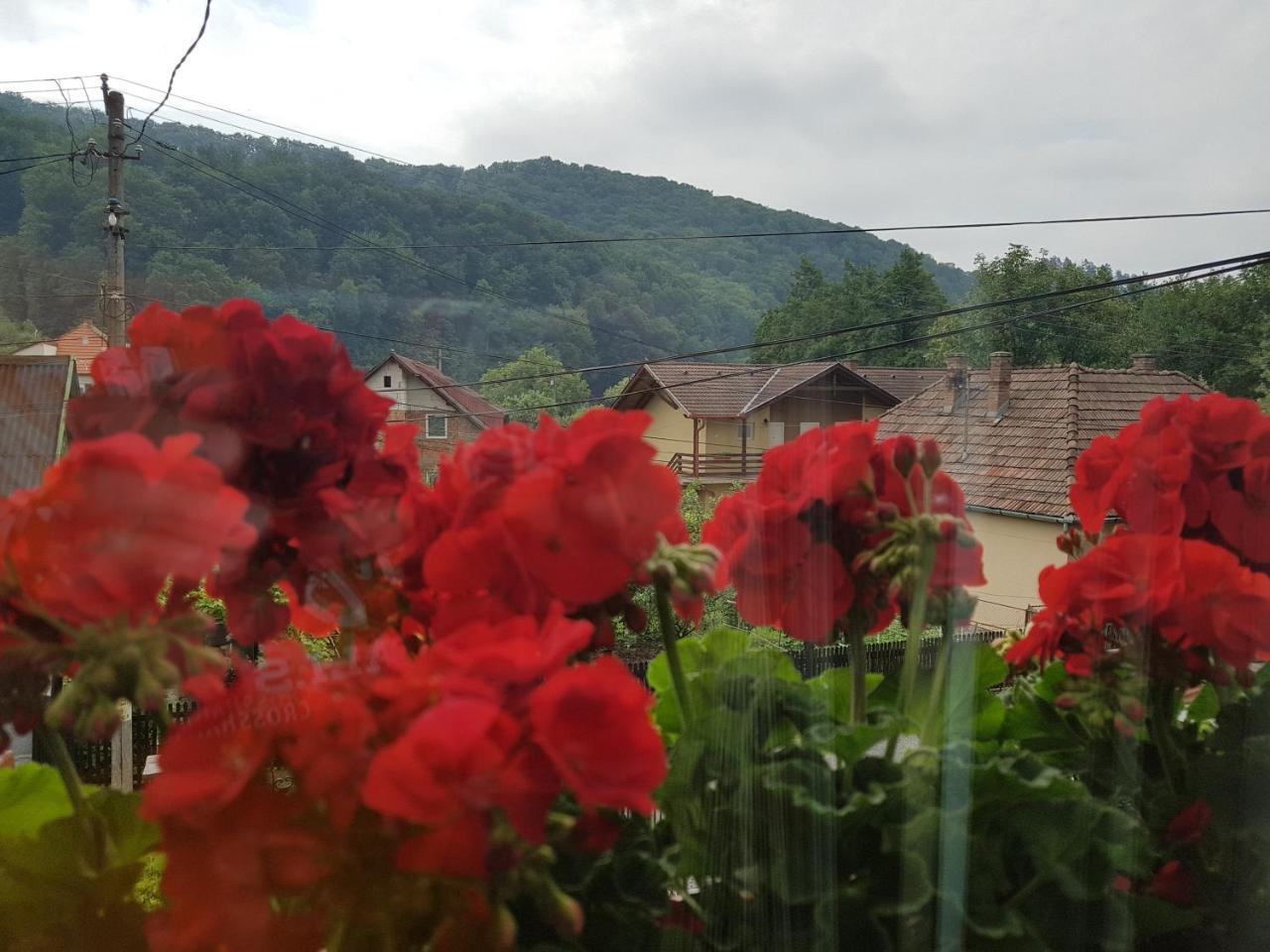 Pensiunea Lorincz *** Panzio Sovata Buitenkant foto